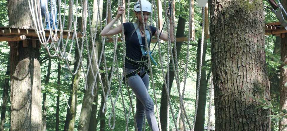 Kletterwald