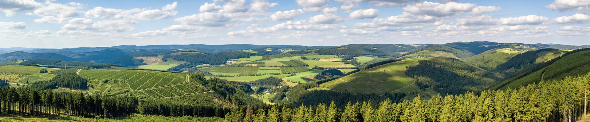 Herpine_Regionales_Header